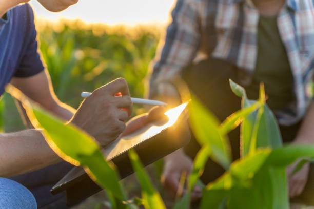 IA: tu agrónomo digital