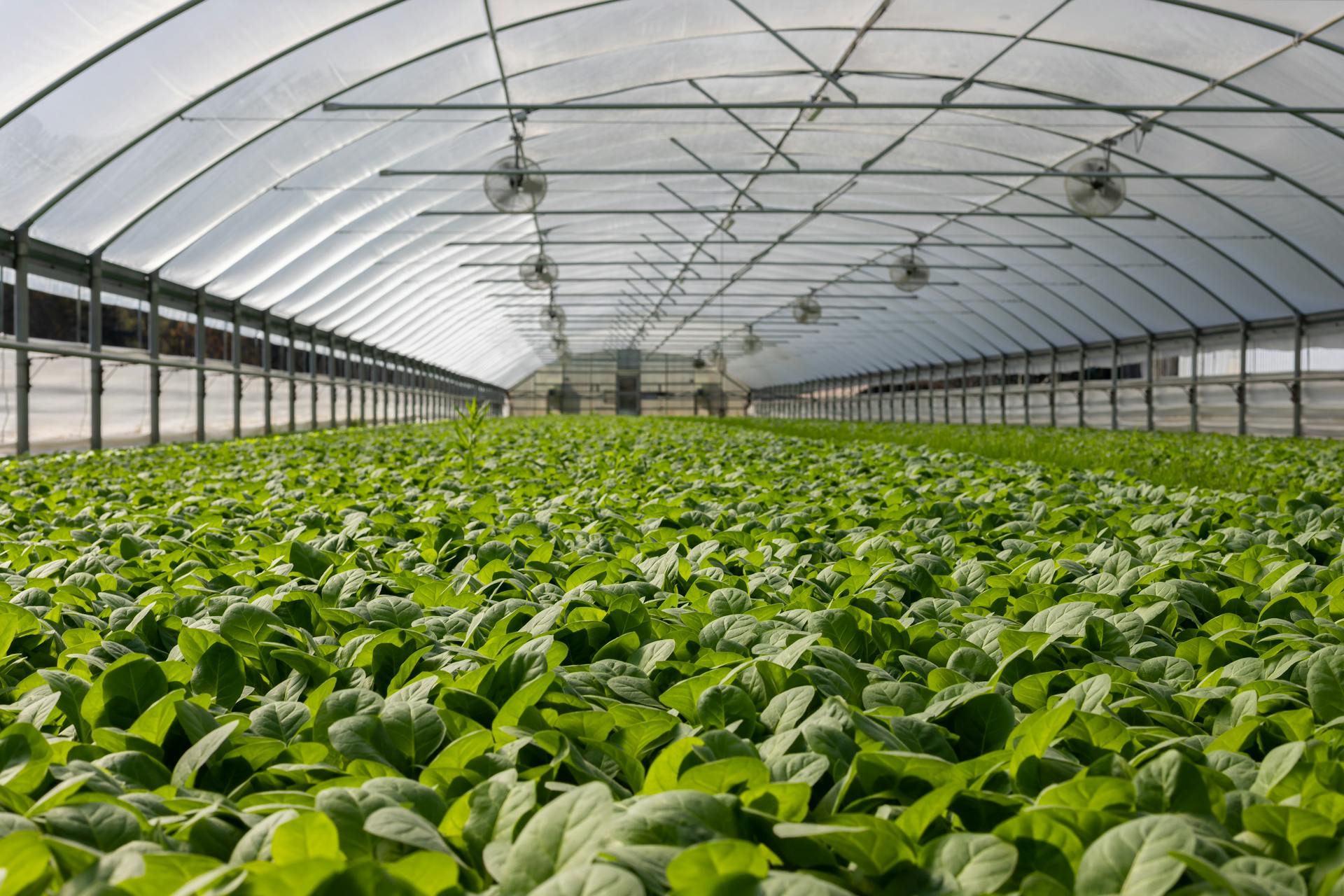 Plataforma AgrolabX